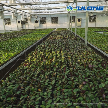 Table des bancs roulants mobiles de pépinière de plante de semences